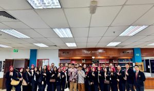 WhatsApp Image 2025-11-17 at 12.45.49